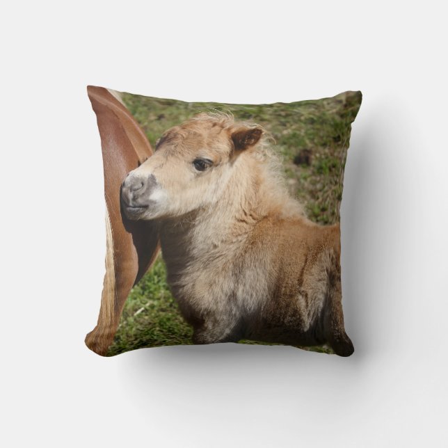 Cojín Decorativo Sweet Haflinger Foal (Anverso)