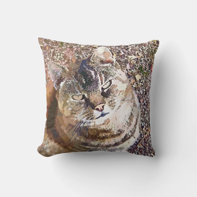 COJÍN DECORATIVO TABBY CAT (Anverso)