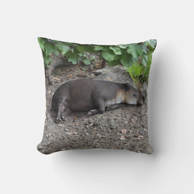 Cojín Decorativo tapir que duerme en la arena (Anverso)