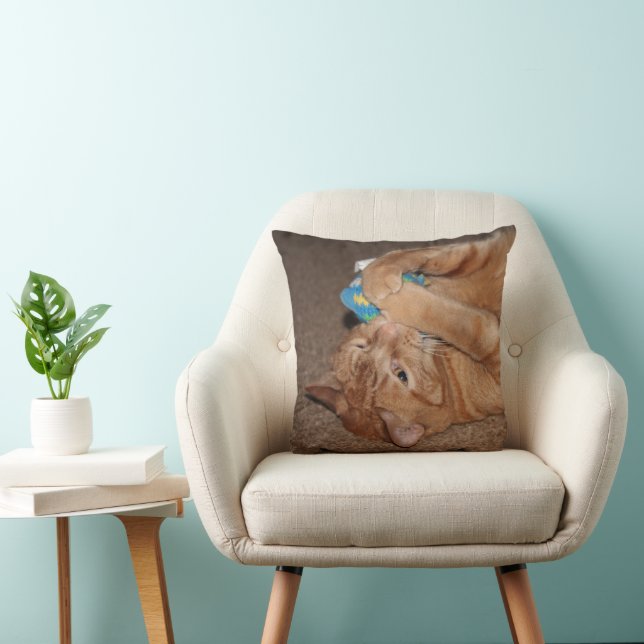 Cojín Decorativo Tater (Silla)