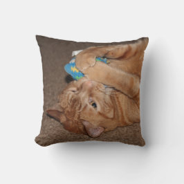 Cojín Decorativo Tater