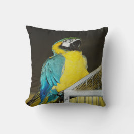 Cojín Decorativo Taz...