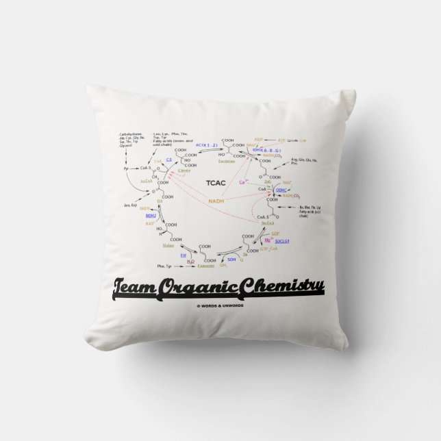 Cojín Decorativo Team Organic Chemistry Krebs Cycle TCAC (Anverso)