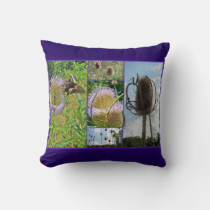 Cojín Decorativo Teasel Thistle - Dipsacus fullonum