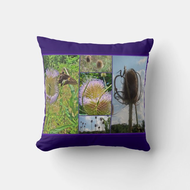 Cojín Decorativo Teasel Thistle - Dipsacus fullonum (Anverso)