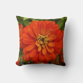 Cojín Decorativo Tendencia de Zinnia Rojo Brillante