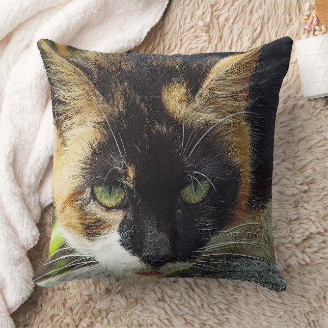 COJÍN DECORATIVO "¡TENGO MIS OJOS VERDES EN TÚ!"/GATO CABEZA-CAPTUR (Manta)