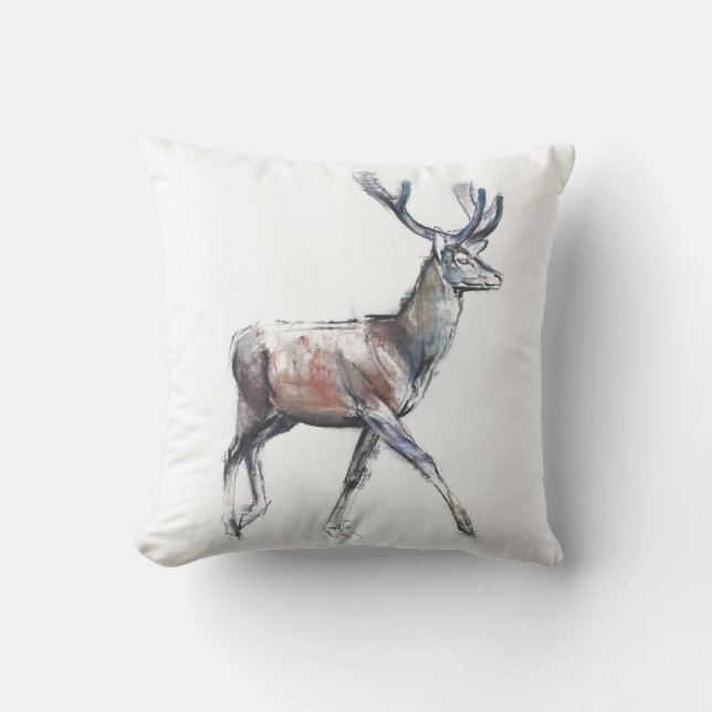 Cojín Decorativo Terciopelo 2006 (Anverso)