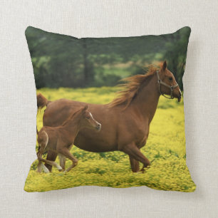 Cojín Decorativo Ternera y yegua árabes