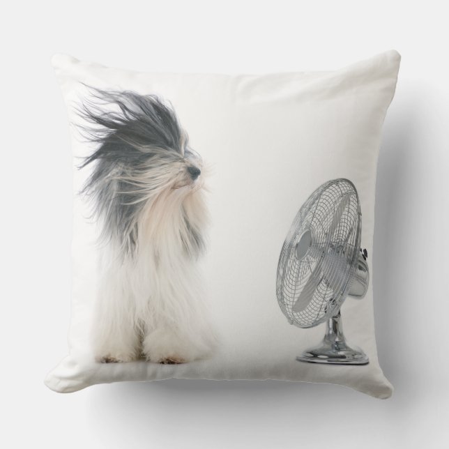 Cojín Decorativo Terrer tibetano y su fan (Anverso)