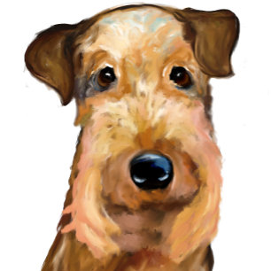 COJÍN DECORATIVO TERRIER AIREDALE   
