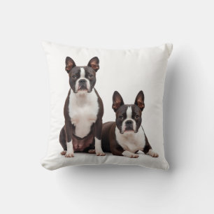 Cojín decorativo Terrier de Boston