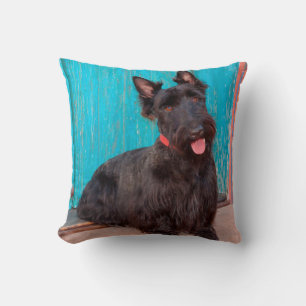 Cojín Decorativo Terrier escocés sentado junto a una puerta colorid