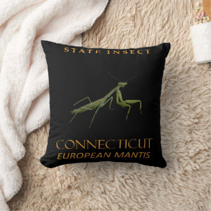 Cojín Decorativo Territorio de Connecticut Insecto La Mantis Religi