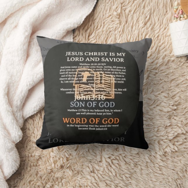 Cojín Decorativo Throw Pillow (Manta)