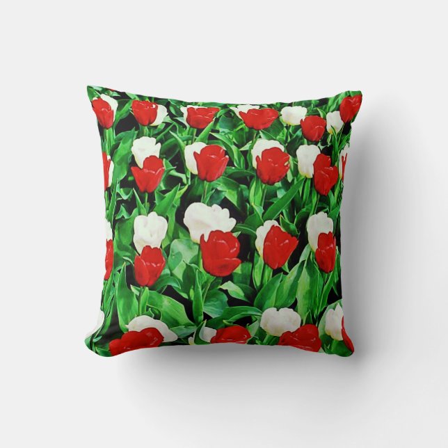 Cojín Decorativo Throw Pillow (Anverso)