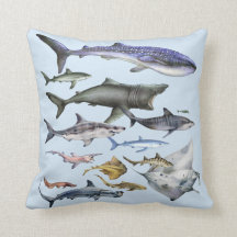 Tiburones del mundo