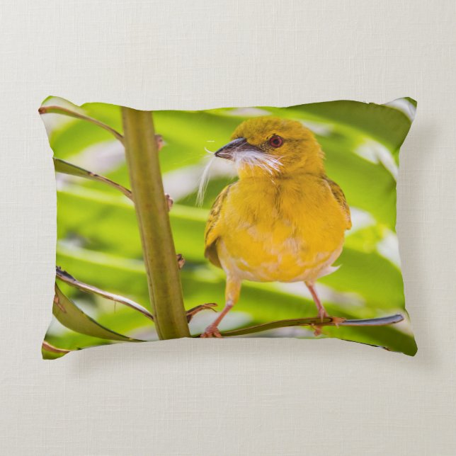 Cojín Decorativo Tiempo de construir el nido (Anverso)