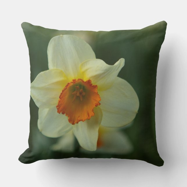 Cojín Decorativo Tiempo de primavera (Anverso)