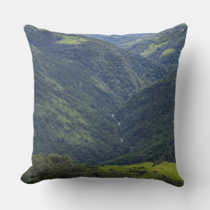 Cojín Decorativo Tierras agrícolas y bosque del Himalaya en el vall
