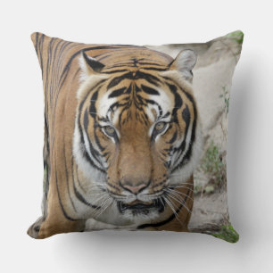 Cojín Decorativo Tiger_001