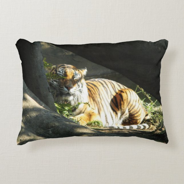 Cojín Decorativo Tiger Catnap (Anverso)