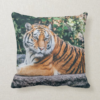 Cojín Decorativo Tigre