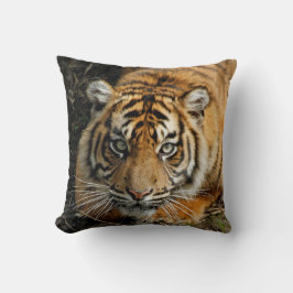 Cojín Decorativo Tigre 037