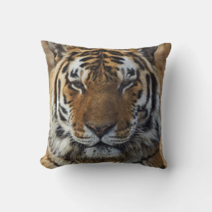 Cojín Decorativo Tigre de Bengala, Panthera tigris, zoológico de Lo