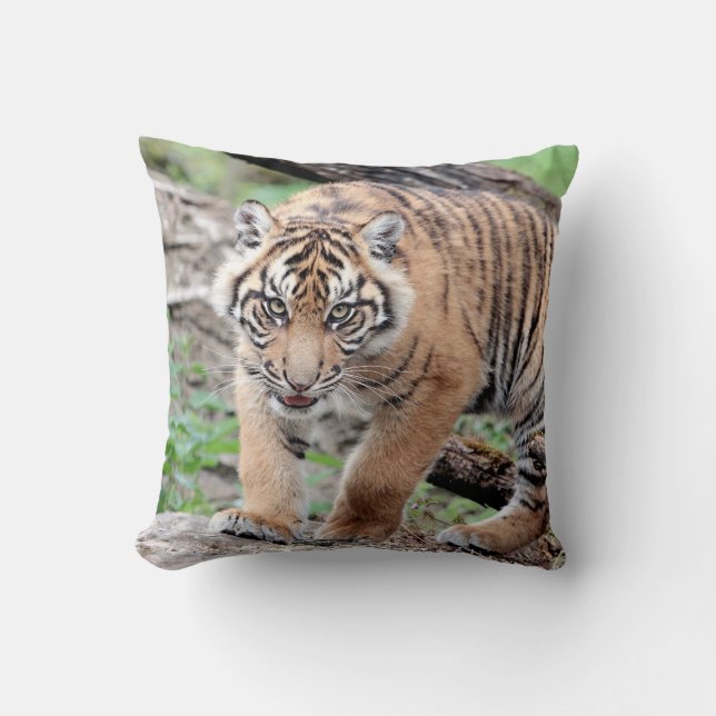 Cojín Decorativo Tigre fotográfico, animales 0287. (Anverso)