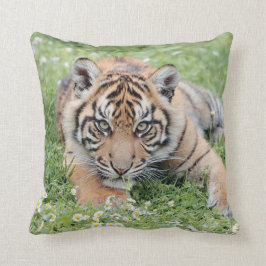Cojín Decorativo Tigre fotográfico, animales 0287.