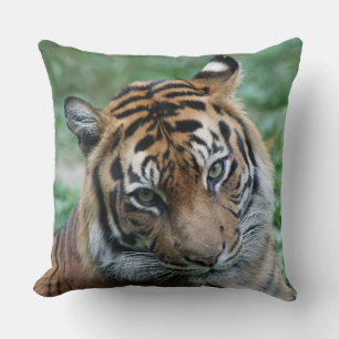 Cojín Decorativo Tigre izquierda y derecha 002