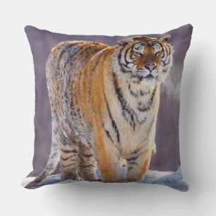Cojín Decorativo Tigre siberiano en la nieve, China