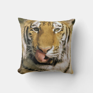 Cojín Decorativo Tigre Zoológico de Michigan