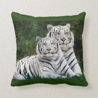 Tigres blancos