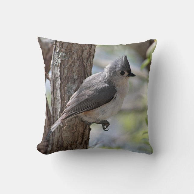 Cojín Decorativo Titmouse copetudo en primavera (Anverso)