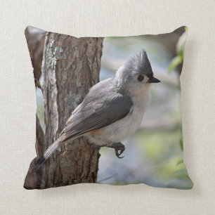 Cojín Decorativo Titmouse copetudo en primavera