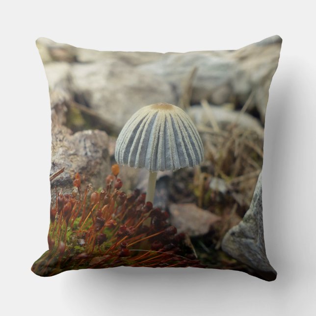 Cojín Decorativo Toadstoide pequeño (Anverso)