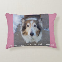 Todo lo que usted necesita es amor y un Sheltie