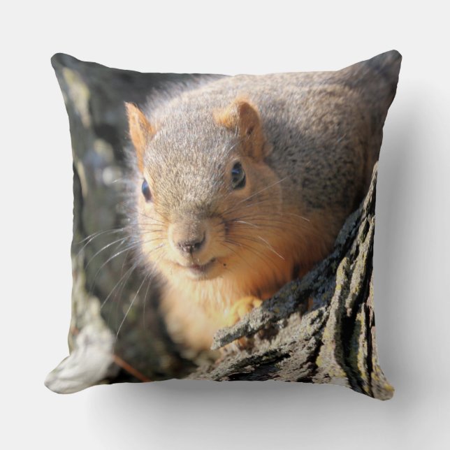 Cojín Decorativo Toro difuso (Anverso)