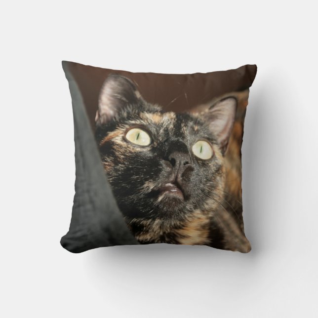 Cojín Decorativo tortie cat pillow (Anverso)
