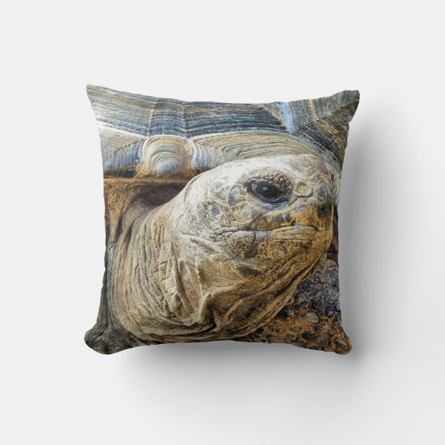COJÍN DECORATIVO TORTOISE (Anverso)