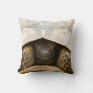 Cojín Decorativo Tortoise