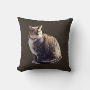 Cojín Decorativo Tortoiseshell Cat