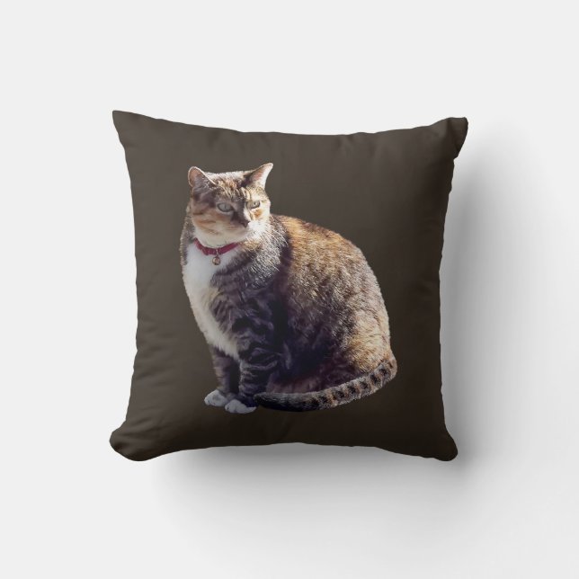 Cojín Decorativo Tortoiseshell Cat (Anverso)