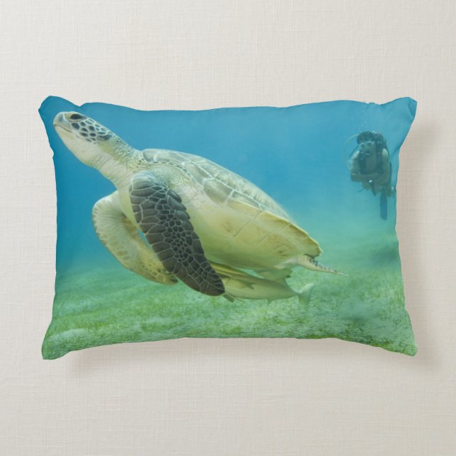 Cojín Decorativo Tortuga (Anverso)