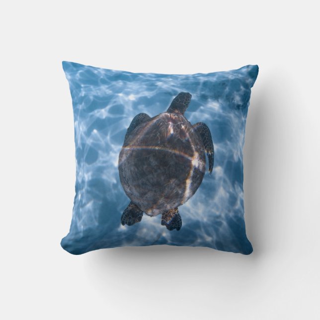 Cojín Decorativo Tortuga acuática (Anverso)