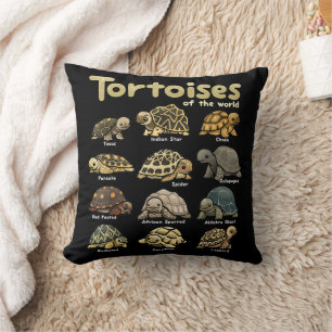 Cojín Decorativo Tortuga Animales del Mundo Reptil Lindo Tortuga