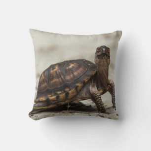 Cojín Decorativo Tortuga de caja común