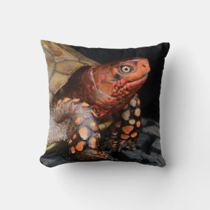 Cojín Decorativo Tortuga de la caja oriental de la cabeza roja